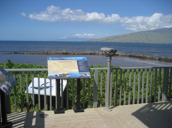 NOAA - Hawaiian Islands Humpback Whale National Marine Sanctuary